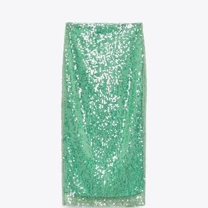 Brand new zara skirt with tags